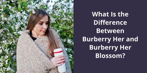 difference between Burberry and berry